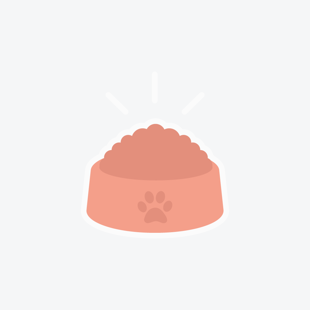 Pet Sitters Near Me Overnight The 10 Best Pet Sitters In Everett Wa 